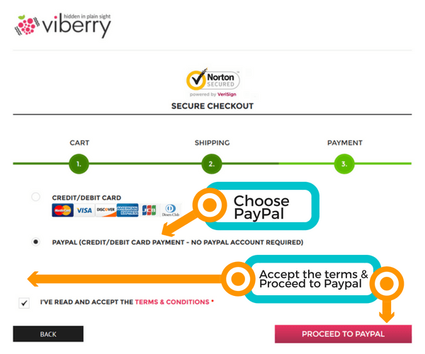 Paypal Payment (1)